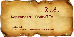 Kapronczai András névjegykártya